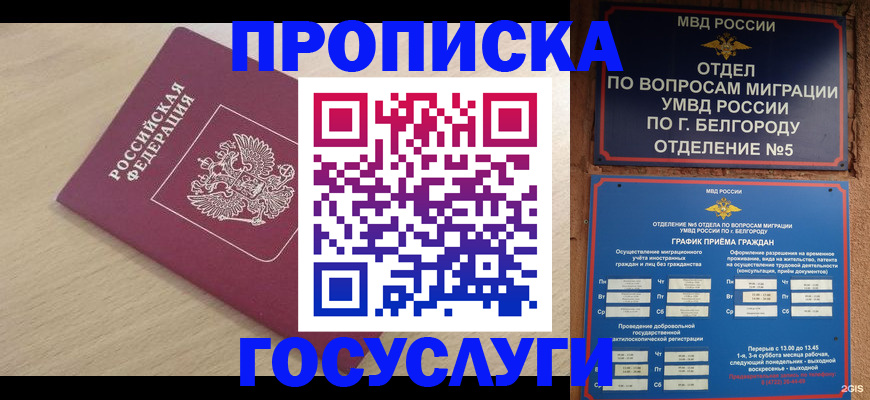 прописка законно в Торжоке